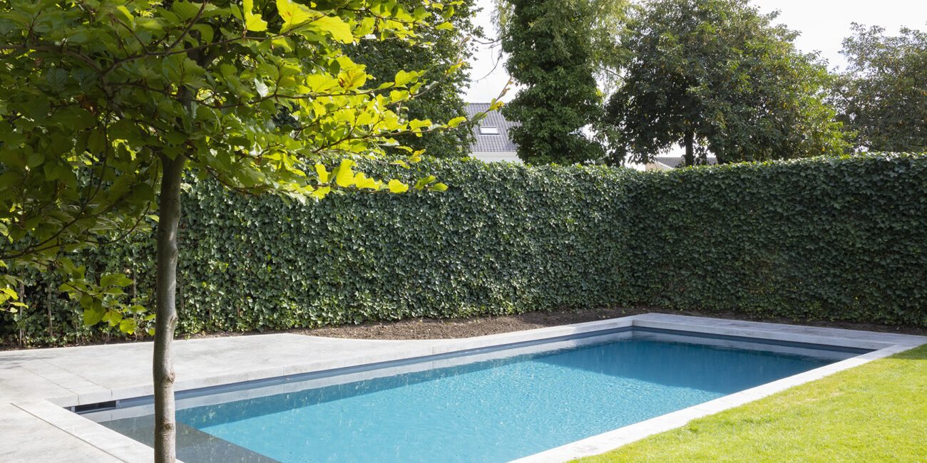 Verminderen Een deel Pasen Beton zwembad - Beton Eindhoven - Jouw eigen zwembad in je achtertuin