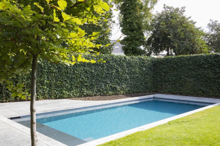 Eigen zwembad in de tuin